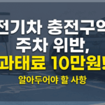 전기차 충전구역 주차 위반